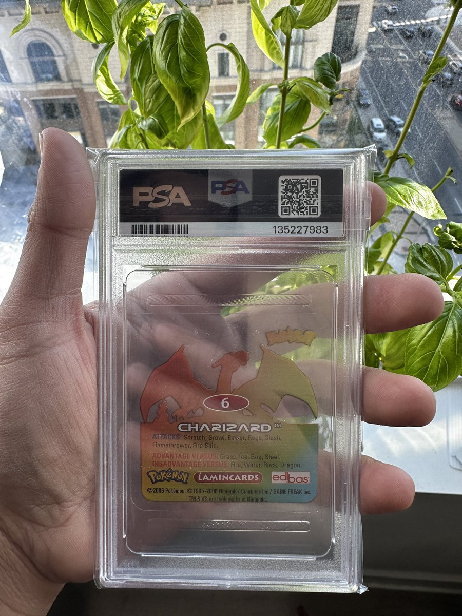 itsrohaanzuberi's tweet photo. Charizard transparent background PSA 9

Total PSA 9 Population of 6 with no PSA 10s.

With low pop Pokemon market going up, having a unique piece as such is a great one that is sure to catch some eyes. https://t.co/z0JJbqpl4B