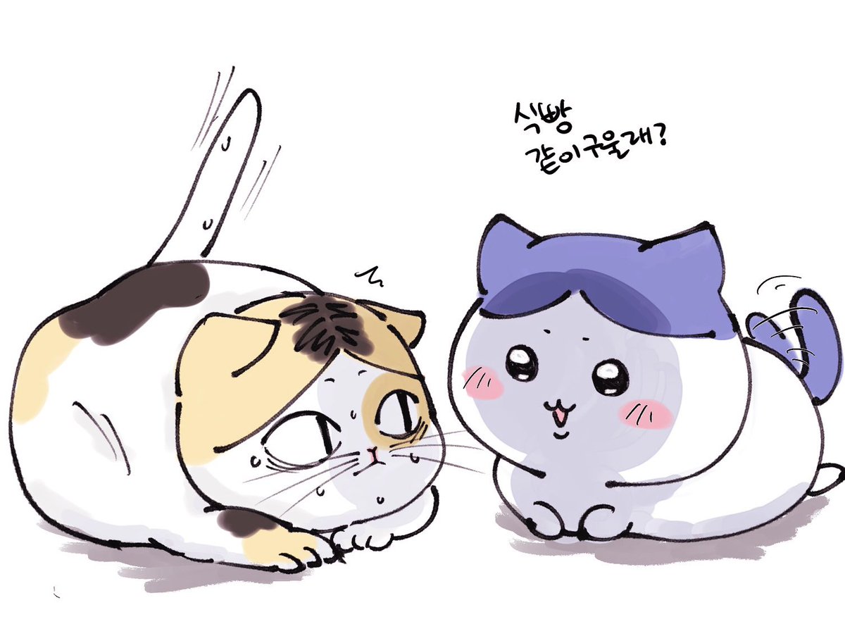 tmdaisk's tweet photo. 떵덩어리들 https://t.co/1ptYlbzvY4