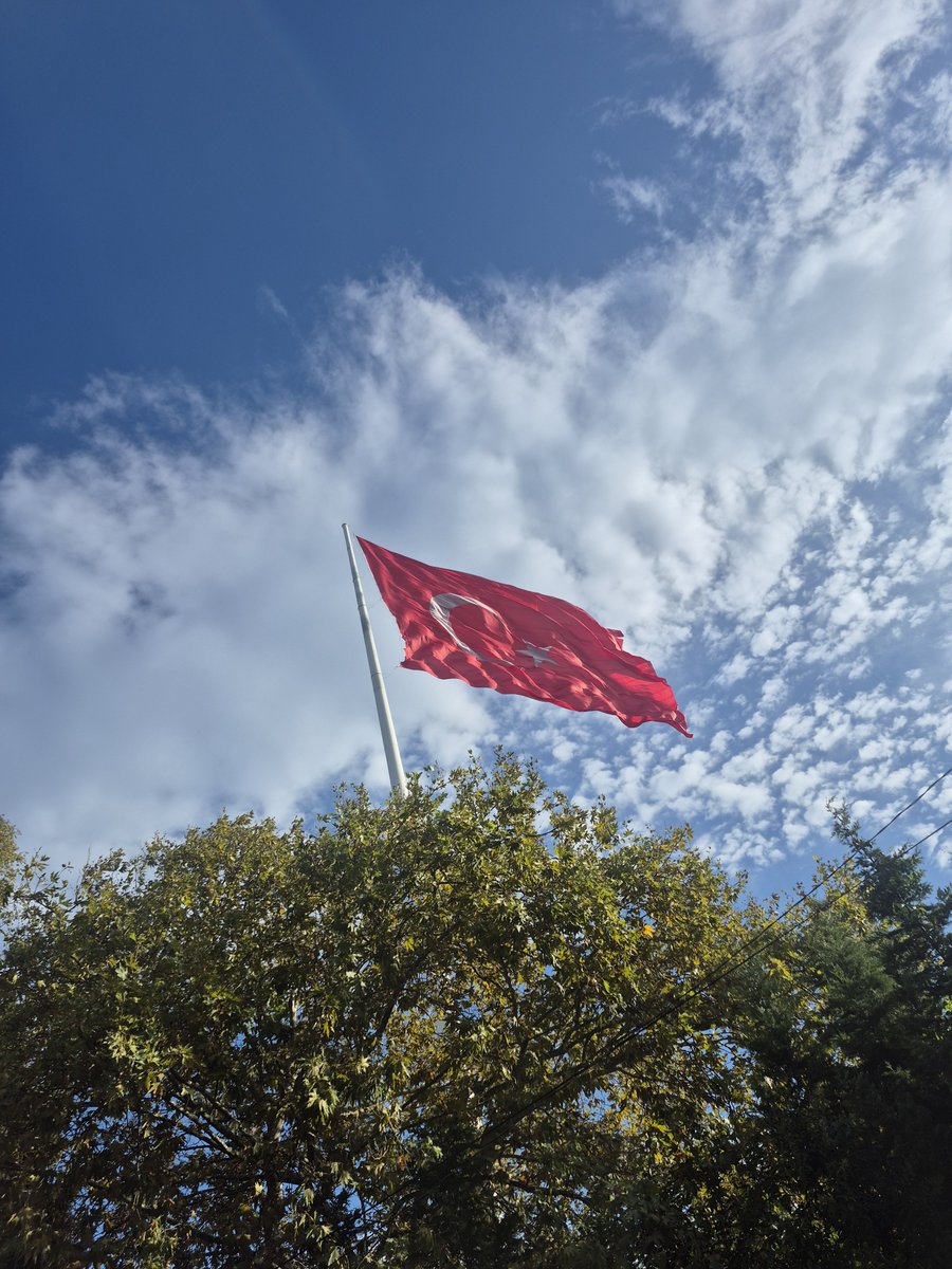 bvchangr's tweet photo. Ülke adına içime bir öküz oturunca ona bakar dalgalanıyor olmasıyla  ferah bulmaya çalışırım. https://t.co/S3OCA8M54h