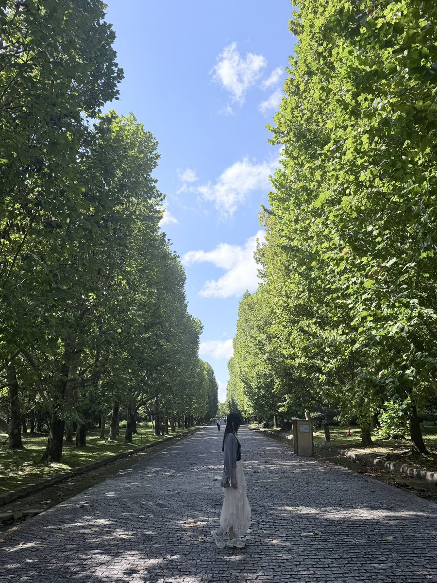 6v6meme's tweet photo. わたし、大阪でいちばん氣がいいの、万博記念公園だと思ってる！！！
公園なのにトイレも百貨店ぐらい綺麗だし🤩🤩🤩 https://t.co/GzNgVPPMxN