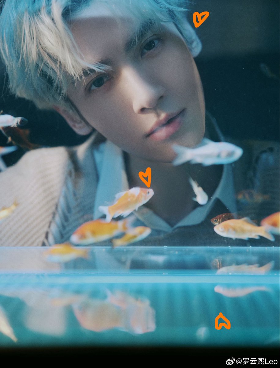 xixifreshheart's tweet photo. 낮과 밤.
晚安——<3<3 https://t.co/umZj3qVfgj