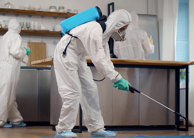 FixelltdK's tweet photo. Mende kwa kitchen? Panya kwa store? Siafu kila mahali?
Usingoje mambo ikuwe worse. #Professionalfumigation helps control pests in homes, offices & businesses.
Unaona signs za pests? Book fumigation with us.
https://t.co/3mDgXYwVCG
#CustomerServiceWeek #Fixel #NairobiKenya https://t.co/oFWoQaLM6X