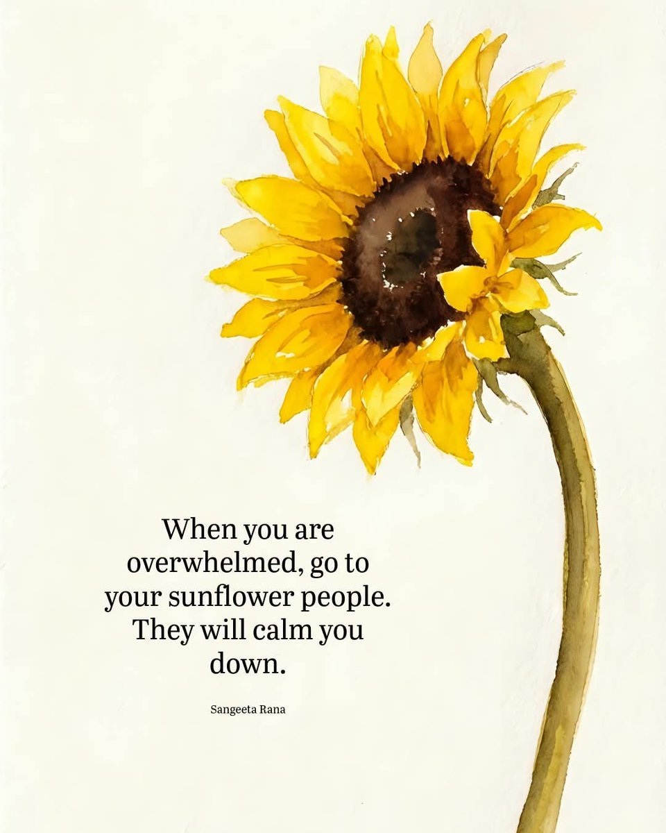 bethyeon08's tweet photo. The ones we can turn to when life feels overwhelming. The ones who listen without judgment, bring peace when our minds are restless, and somehow make everything feels little lighter.
Life may not always be easy, but having the right people beside us makes the journey a lotwarmer. https://t.co/qRIiDDcytv