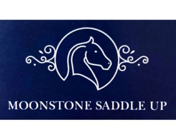 JJODISABILITY's tweet photo. 🐴✨ Check out Moonstone Saddle Up &amp; Tack Shop &amp; Stables! Find quality tack, equestrian supplies, and everything you need for you and your horse. Support local equestrian businesses and our amazing horse community! 🏇❤️ #Equestrian #HorseLife #SupportLocal https://t.co/XtEYPGVILK