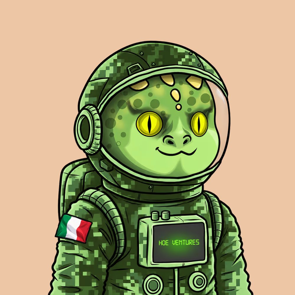 letsCatapult's tweet photo. Opensea finally pulled up all the metadata and the rarity is now final.

Rarity will play a part in your token allocation. 

Now, let's talk traits.

1. Countries.

There are 67 countries (no, not the cringe meme from 2025). There are actually 67 official government space programs in the world. Only 67 countries have them.

Snurps came dow to earth to work with these countries and got their country badges.

Post the country you minted below:
