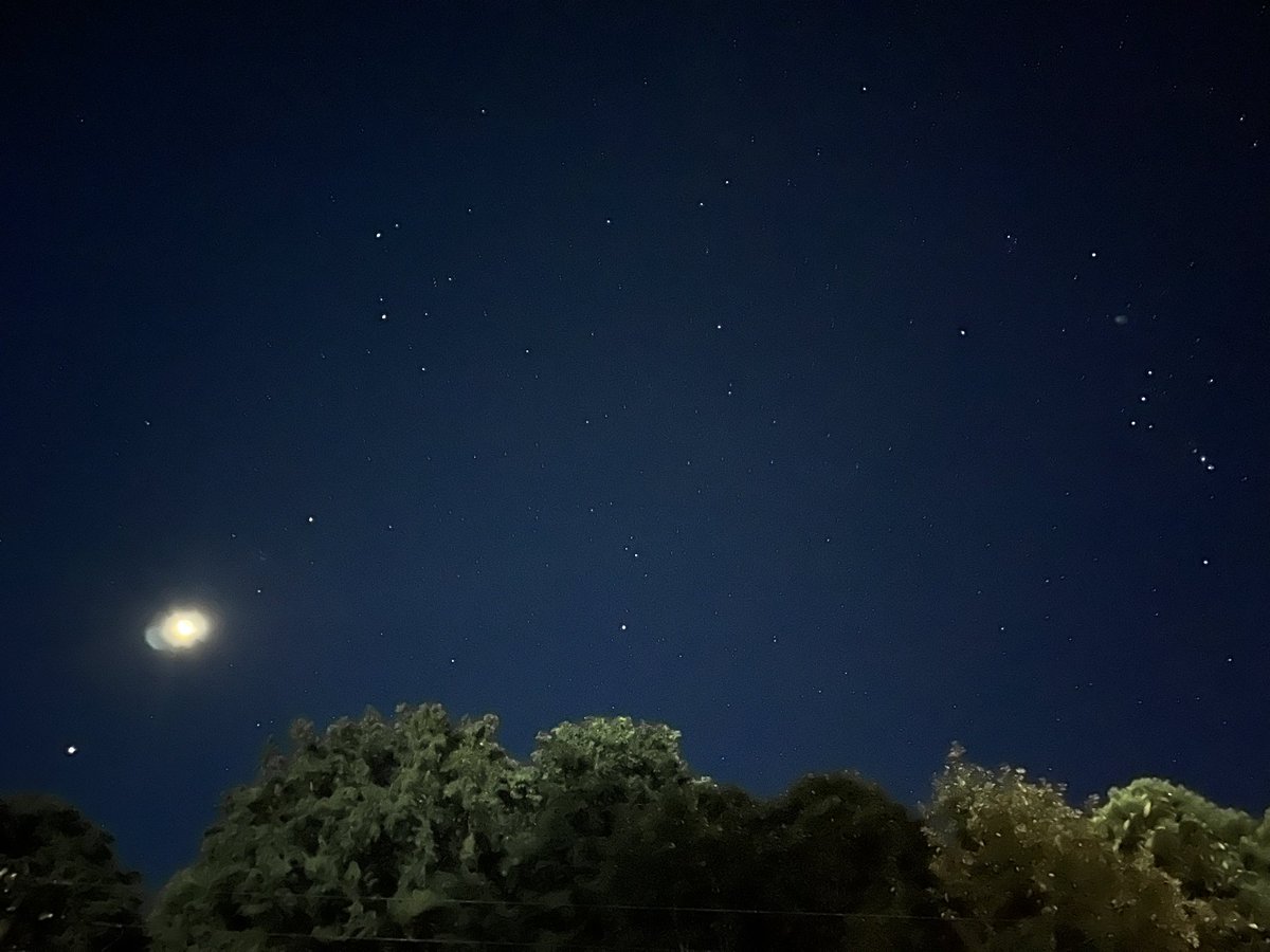 starry_train_N's tweet photo. 今朝は火星と木星の間に月が入り賑やかな星空でした。
工場へ入る前に駐車場でパシャリ（4時47分撮影📱）

11日には火星がプレセペ星団と重なり
11/3には再び火星•木星•月のランデブーが見られます。 https://t.co/AmBX8SL4Na