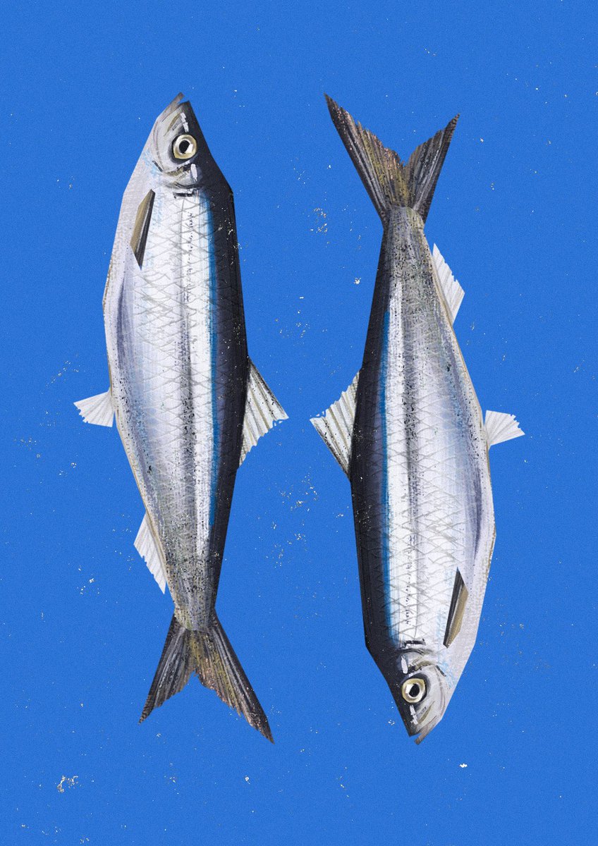 houss2kouet's tweet photo. Poster du jour 6/31 pour le postertober challenge, illu de moi également 🐟 https://t.co/eRNeIUzD9m