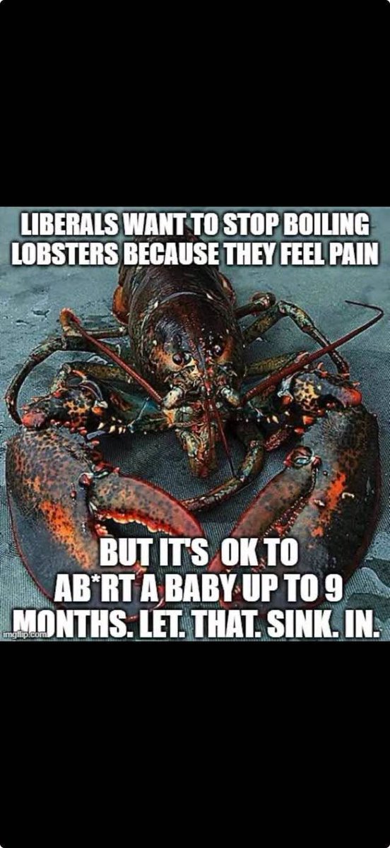 AK2MX2K's tweet photo. It has been proven over and over that the babies feel pain as well.
Liberals care more about a Lobster than they do about human lives. https://t.co/CMxchd6y8l