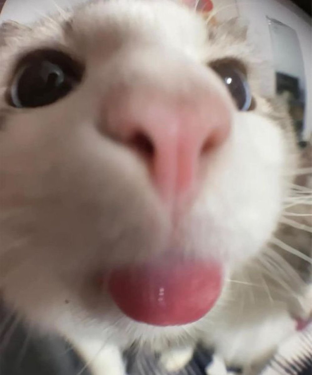 jsapplecrumble's tweet photo. hong blep :p

HONG WITH SOFT TOUCH LOTION

#FriendlymeLivexHONG https://t.co/fVLoA8DYJF