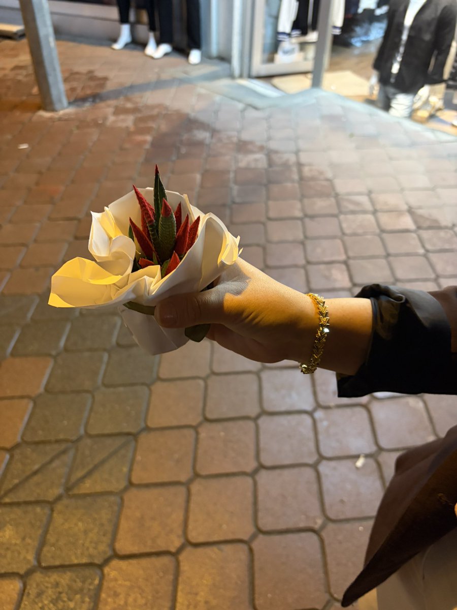 Beriyy19's tweet photo. Bizim payımıza düşen çiçek🌵 https://t.co/VC560uF9rN