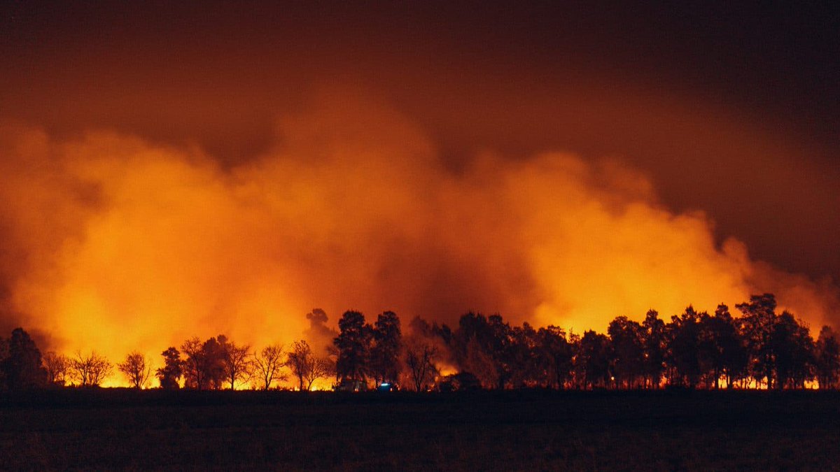 afriforum's tweet photo. Beskerm jou huis en gesin só teen El Niño-veldbrande https://t.co/qDGuaH16gc https://t.co/Al9hFqO5EU