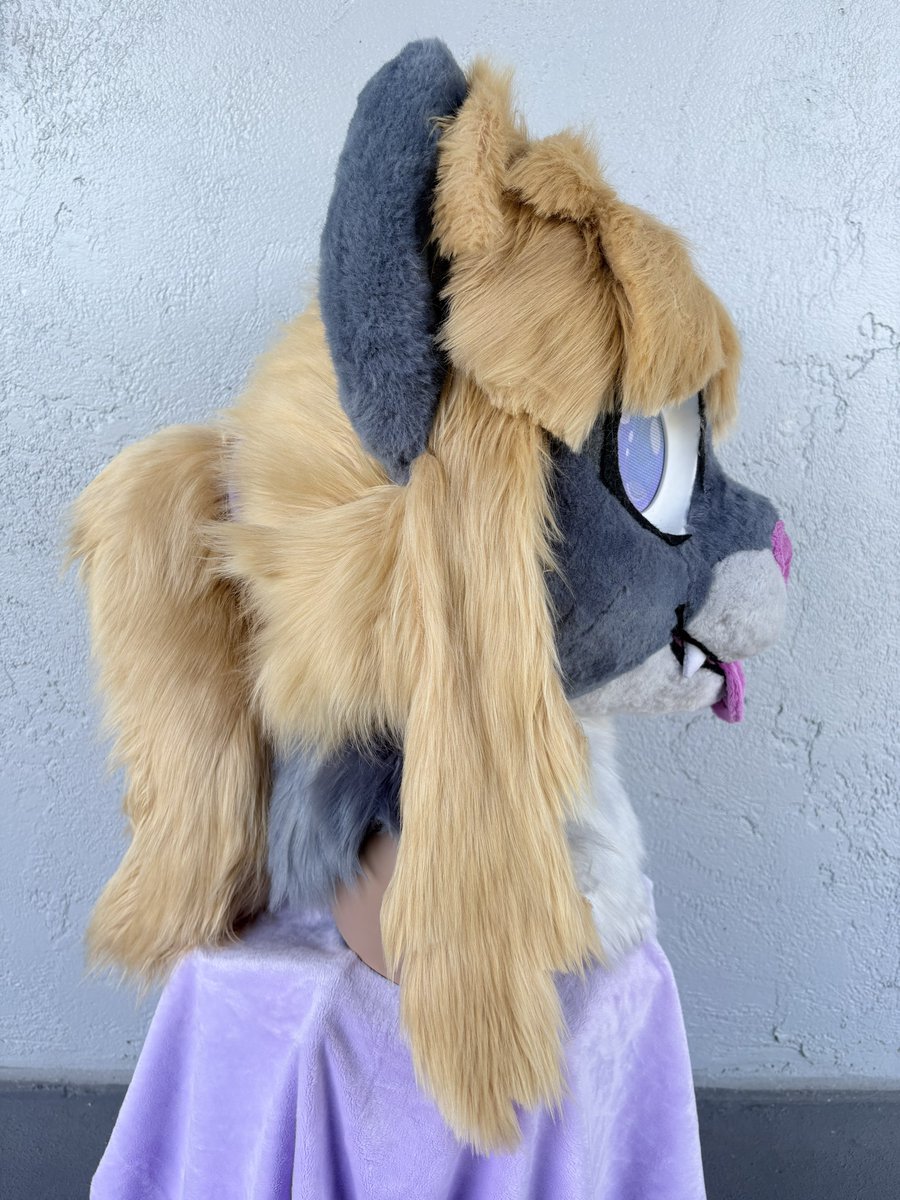 FerretFactory's tweet photo. The ref I was given vs what was made!! 
Ft Lor (@sunkistsherbet) and Blair (@Astraeu_Cat) https://t.co/blZ5WA6mek