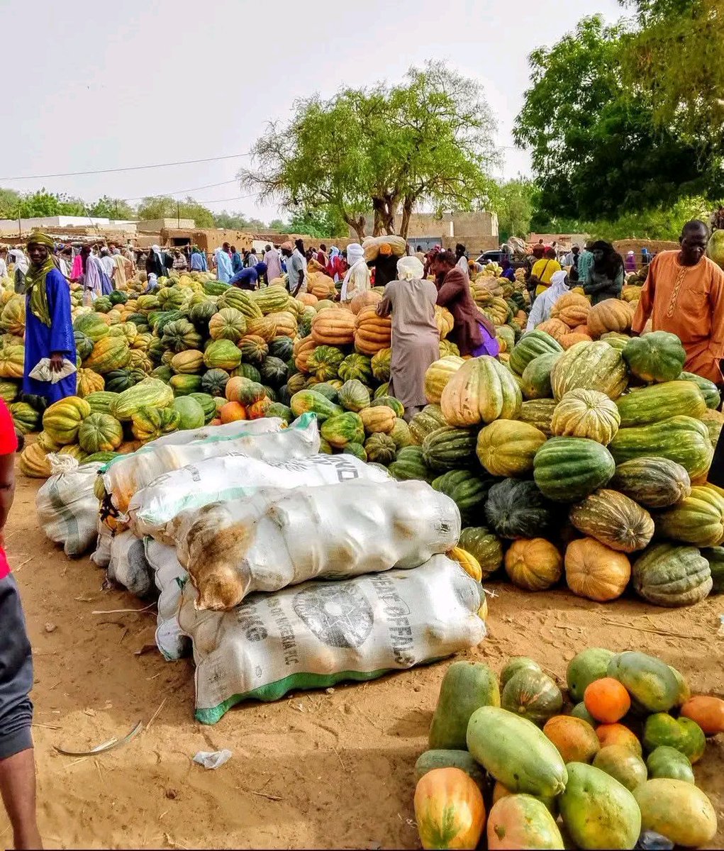 MahamadouBrah67's tweet photo. #Niger #VisitNiger | À LA DÉCOUVERTE DE TABALAK

Tabalak, région de #Tahoua : une ville magnifique aux potentialités méconnues. Sa mare et la pêche font partie de ses richesses. À découvrir !

📷 : Moumouni Salifouizé

#Niger #Tahoua #Tourisme https://t.co/dWnTzLNXcW