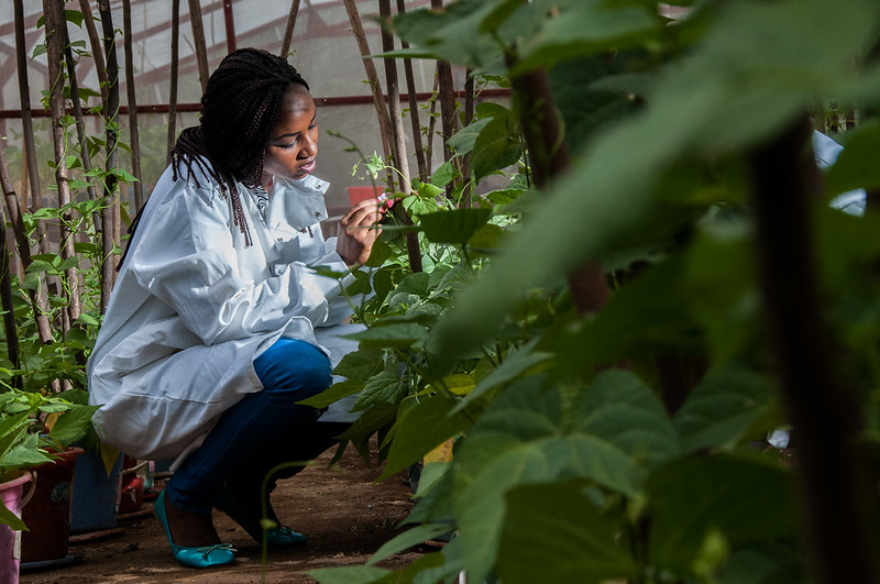 farmingfirst's tweet photo. "If we want more young women to build farms, research programmes or agricultural businesses, encouragement is not enough." — Rainbow Crops' Hilde Nelissen on what the International Year of the Woman Farmer must deliver for women in agriculture: https://t.co/TXrbcUtEF3 #IYWF https://t.co/vjNtbHd5Ee