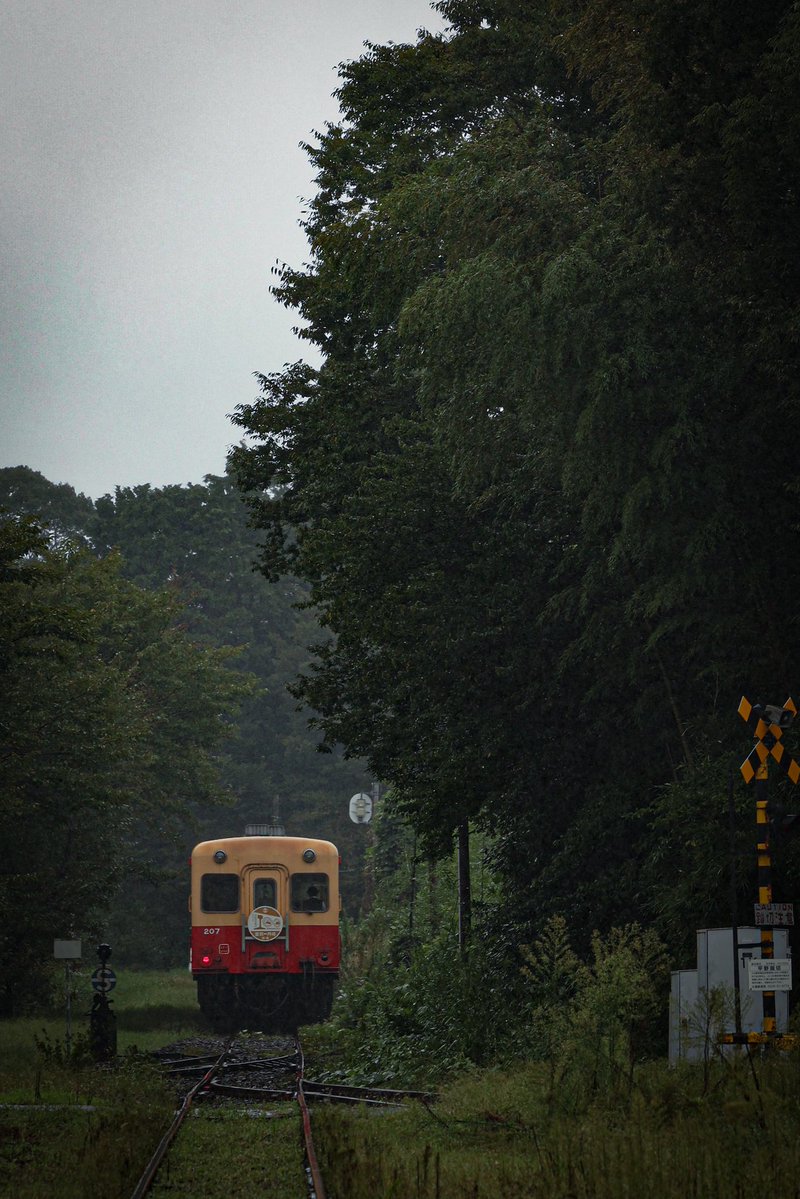 kozu_03h's tweet photo. #がんばれ小湊鉄道 https://t.co/AcFnGbd4Ty