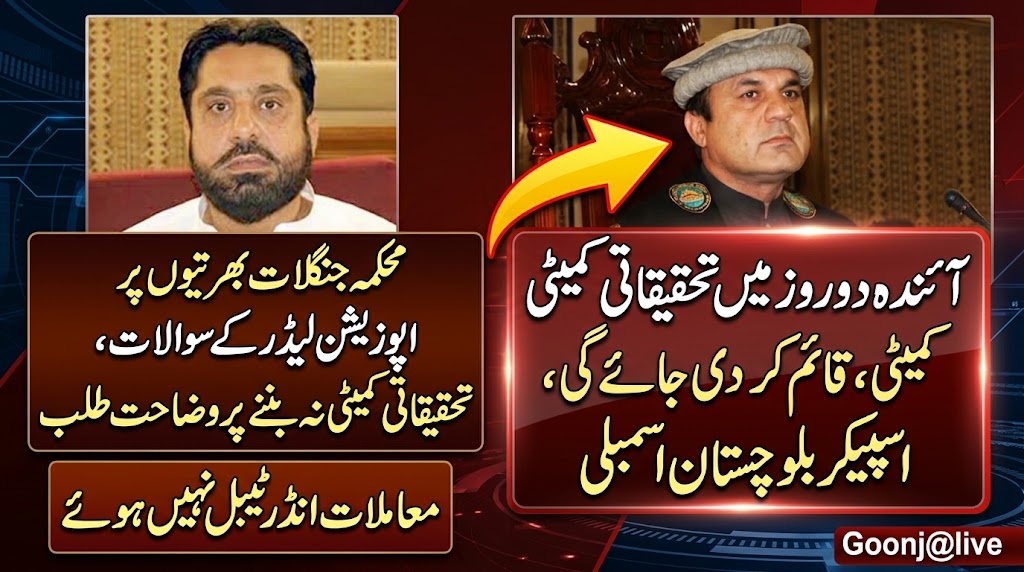 GoonjatLive's tweet photo. Further details at this link
https://t.co/qaWlYhMTjn
#BalochistanAssembly #ForestDepartment #Quetta #YounasZehri https://t.co/UGj0SuuW7k