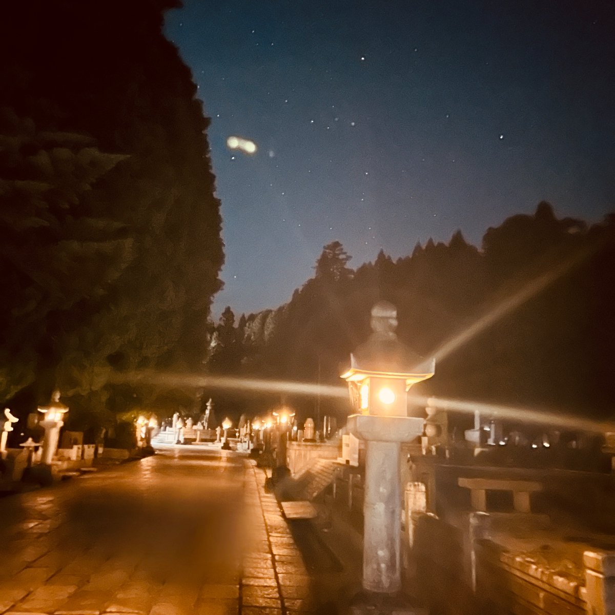 yoshi_1907's tweet photo. 日本人として一度は訪れてみたかった高野山。今日から天気良くてありがたい。明日朝5時半に起きて朝のお勤め見に行きたいんだけど起きれるかな…(^｡^) https://t.co/k6pwFkQ5Lh