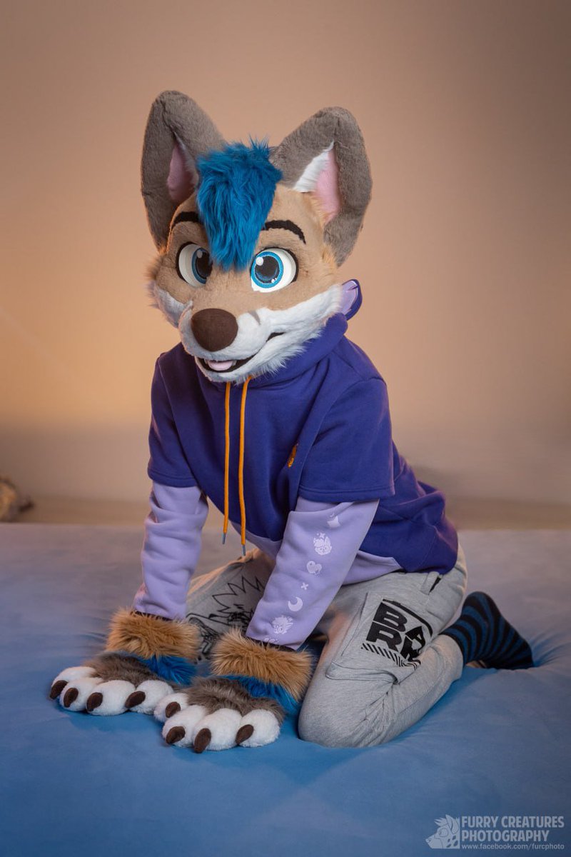 Whity_Inu's tweet photo. I was told I'm a good boy :3

📸  @FurCPhoto https://t.co/ZUAMeXNaQc