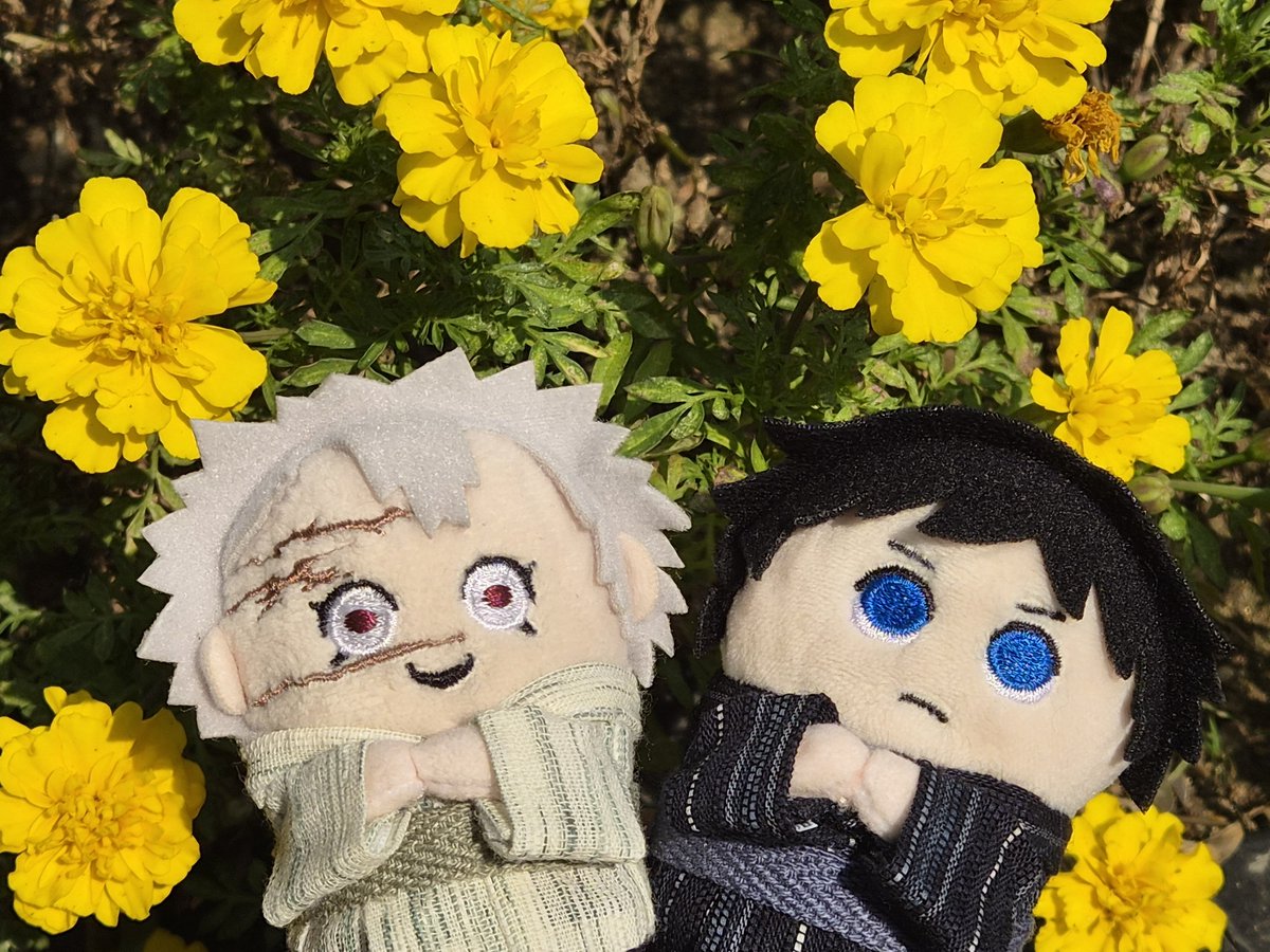 sngytown's tweet photo. #見た人はお花と写ったぬい写真をアップする 
🌼 𓂃𓈒𓏸 https://t.co/H4iZtRxZHd