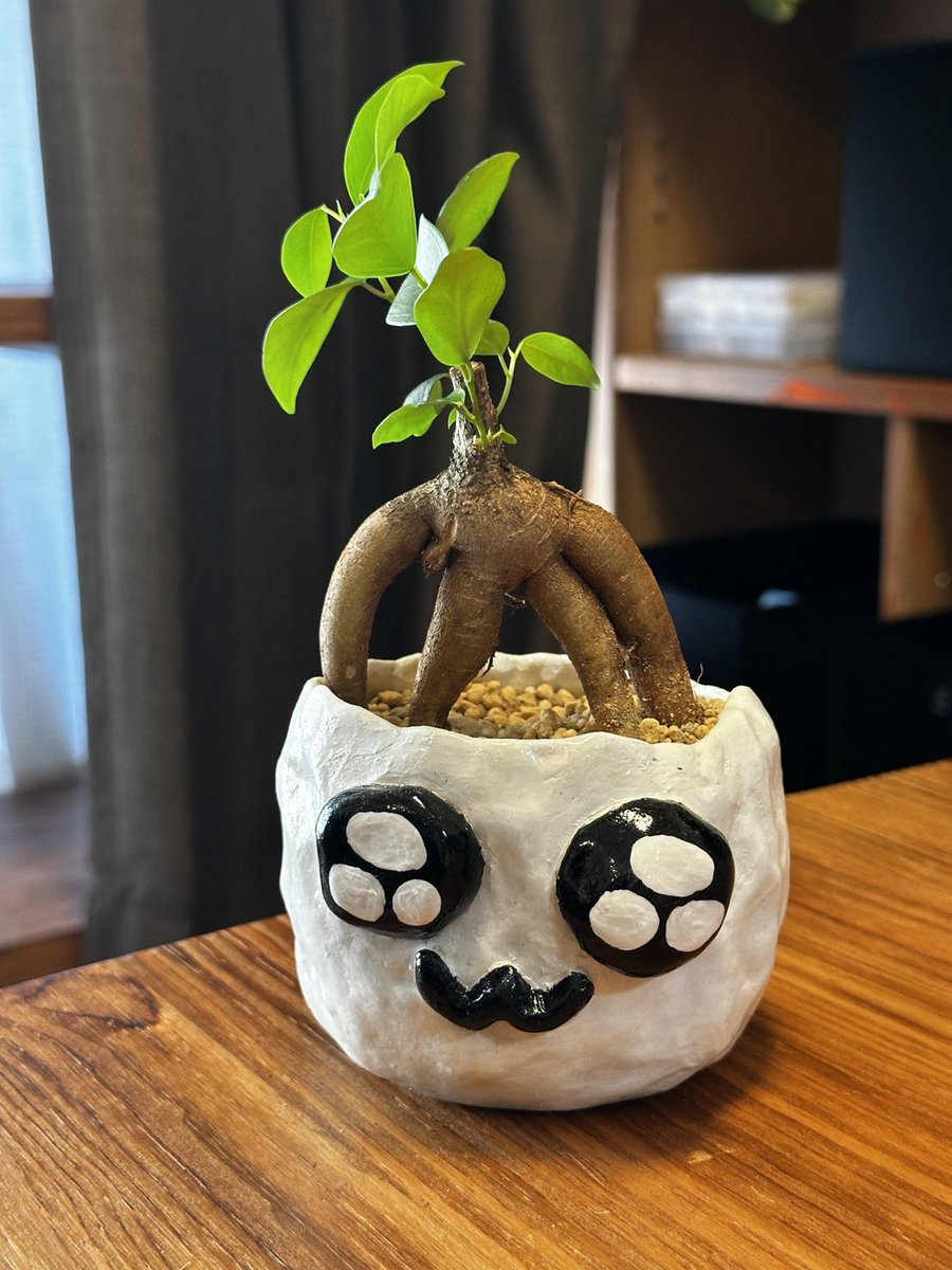 NendooMAN's tweet photo. 植木鉢作った https://t.co/FAKpLAjtVq