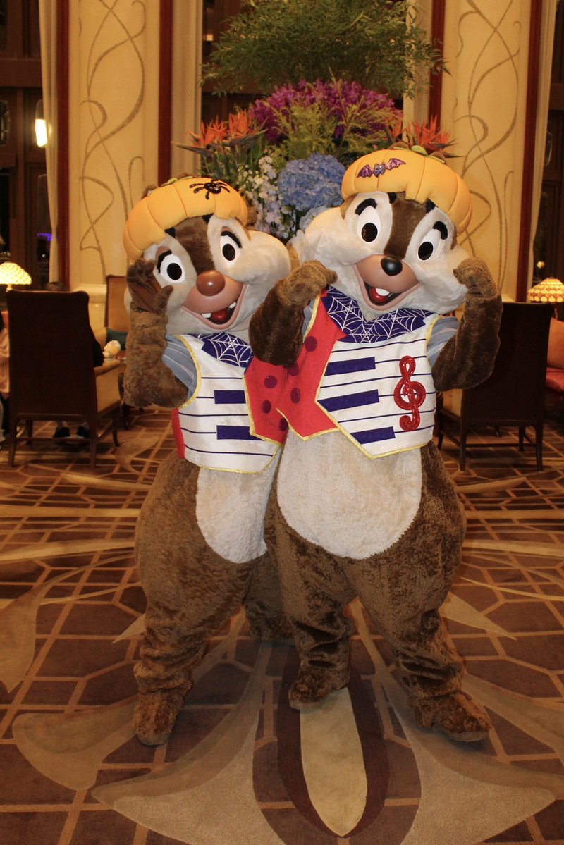 CharactersPBlog's tweet photo. Chip and Dale joined the fun tonight in the Shanghai Disneyland Hotel. They do a brief apparition nightly and were wearing their Halloween outfits from the year prior. 🍂🎃
#DisneyParks
#DisneyHalloween
#SHDL https://t.co/20vi11ITZy