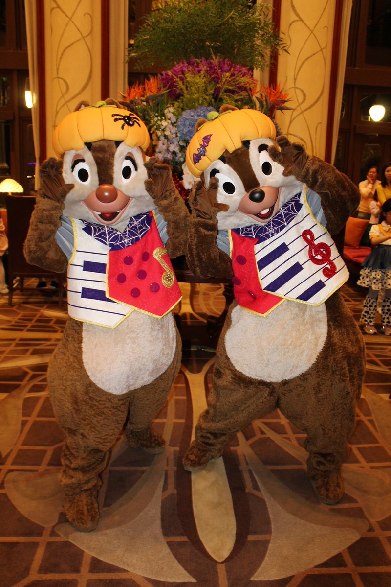 CharactersPBlog's tweet photo. Chip and Dale joined the fun tonight in the Shanghai Disneyland Hotel. They do a brief apparition nightly and were wearing their Halloween outfits from the year prior. 🍂🎃
#DisneyParks
#DisneyHalloween
#SHDL https://t.co/20vi11ITZy