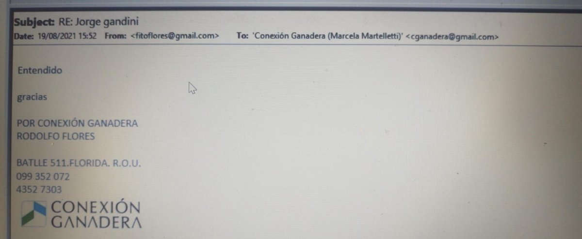 EPreve's tweet photo. 🔴LOS TRES MAILS CARRASCO GANDINI

✔️Pablo Carrasco, socio de Conexión Ganadera preso por la estafa de la empresa, pidió "prioridad importante" para el dirigente nacionalista Jorge Gandini en su inversión. 

✔️Rodolfo Flores, el gerente operativo le respondió "entendido" y otra funcionaria aclaró que el pedido estaba a nombre de la esposa del dirigente nacionalista. "El Dicose ya lo firmó el 8 de junio", asegura Marcela Martelletti el 19/8/2021.

https://t.co/sxiJLje7vd