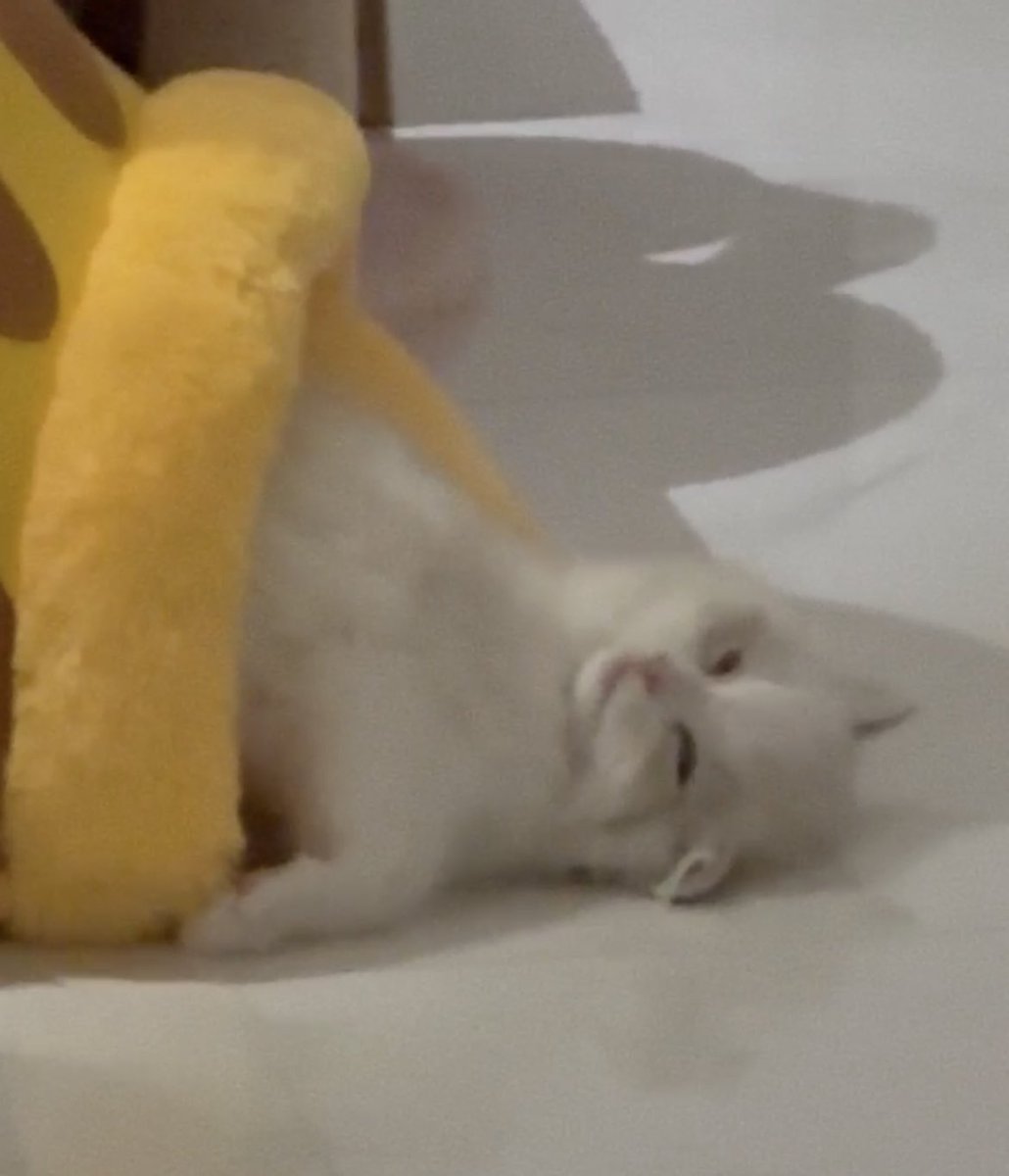 najaemwenny's tweet photo. โอ้ย555555555555555555555555555555 https://t.co/QrgZvDcCVD