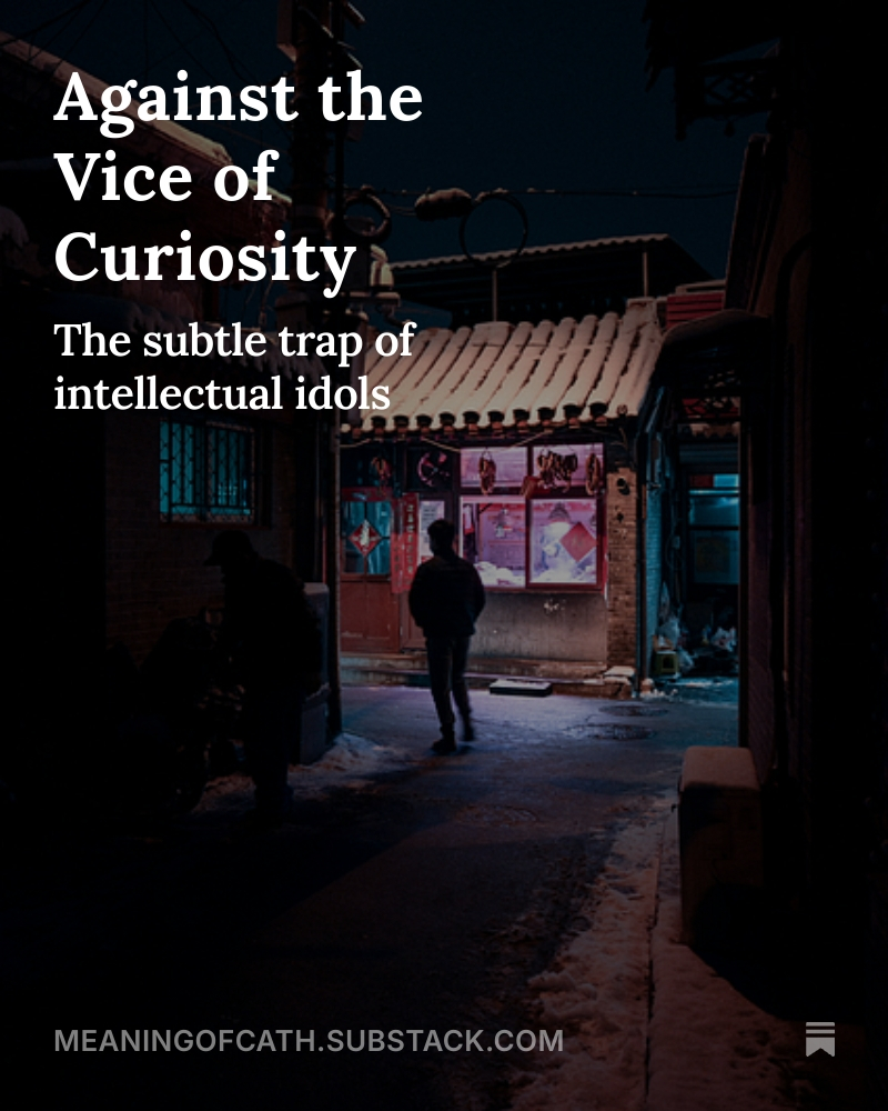 meaningofcath's tweet photo. St. Thomas defines the vice of curiosity as “when a man is withdrawn by a less profitable study from a study that is an obligation incumbent on him” (II-II q167 a1).

https://t.co/2y21UspDgr https://t.co/lyncwu9tNM