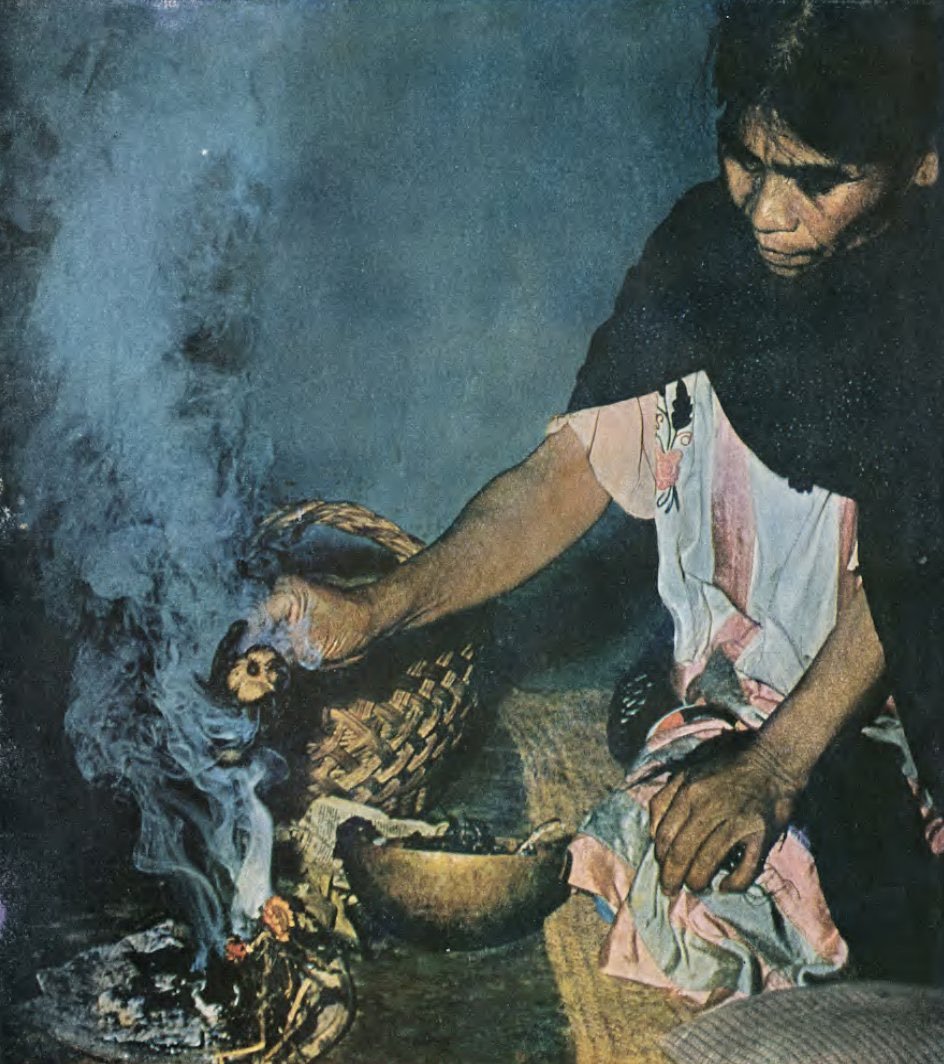 jamessmiths07's tweet photo. Maria Sabina never offered just one mushroom.

The Mazatec curandera provided them in pairs--blessed over burning incense to honor male-female duality.

The mushrooms weren't the cure: they revealed the source, empowering patients to consciously participate in their own healing. https://t.co/uHeVYPHobC