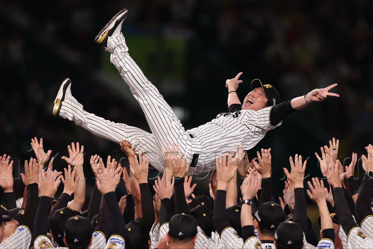 NikkanNaruohama's tweet photo. 優勝セレモニーが行われ、甲子園でついに胴上げ✨✨

#阪神タイガース https://t.co/ich307s0lN