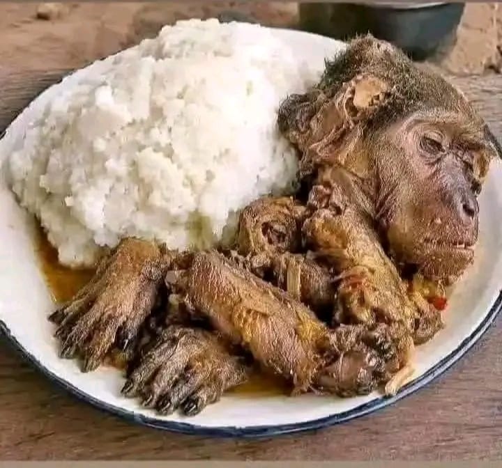 absolutes_OG's tweet photo. @AfricaFactsZone This is their favourite meal by the way🤮😩. https://t.co/wPWEoQmYqO