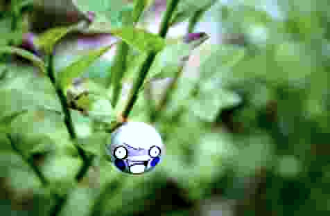 ItaSomes63 tweet picture