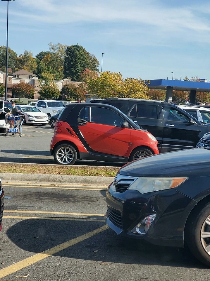 ishikawaosf02f's tweet photo. [Smart car] in the wild. https://t.co/9QH78nHJ6R