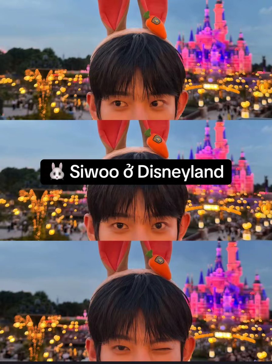 vtcng2010's tweet photo. Điều tự hào thứ 8: Siwoo cho chúng mình xem Disneyland ở Thượng Hải, cho chúng mình ngắm Paris vào đêm mưa, cả tháp Eiffel nữa, tặng hoa hồng cho chúng mình khi ở Milan, và rất rất nhiều thứ là lần đầu tiên mà chúng mình nhận được. Tự hào vì luôn là một phần quan trọng trong cuộc sống của Siwoo

PROUD OF PARK SIWOO
#PARKSIWOO
#PARKSIWOOPFWSS27
