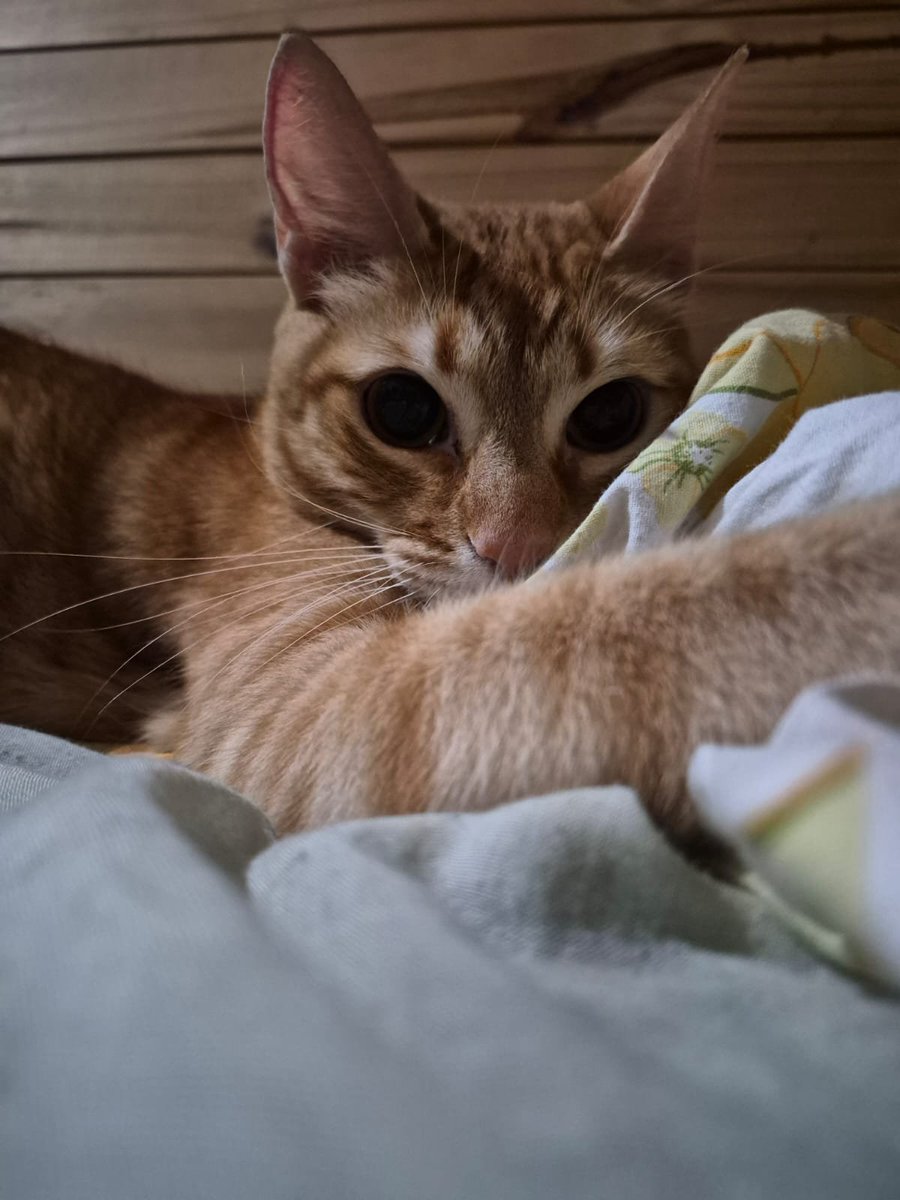 veermili0n's tweet photo. boba eyes https://t.co/maIZsEGbkU