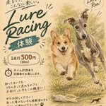 Photo by 俄（aby_corgi）🐈🐕 (@897Fuga)