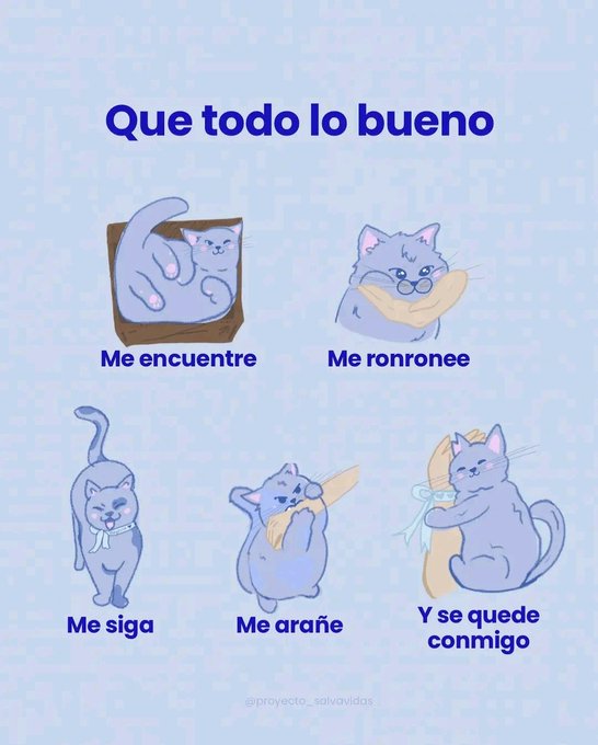 gatuna_Pilar_2's tweet photo. Amén. 🙏 https://t.co/1qnzyMhOOB