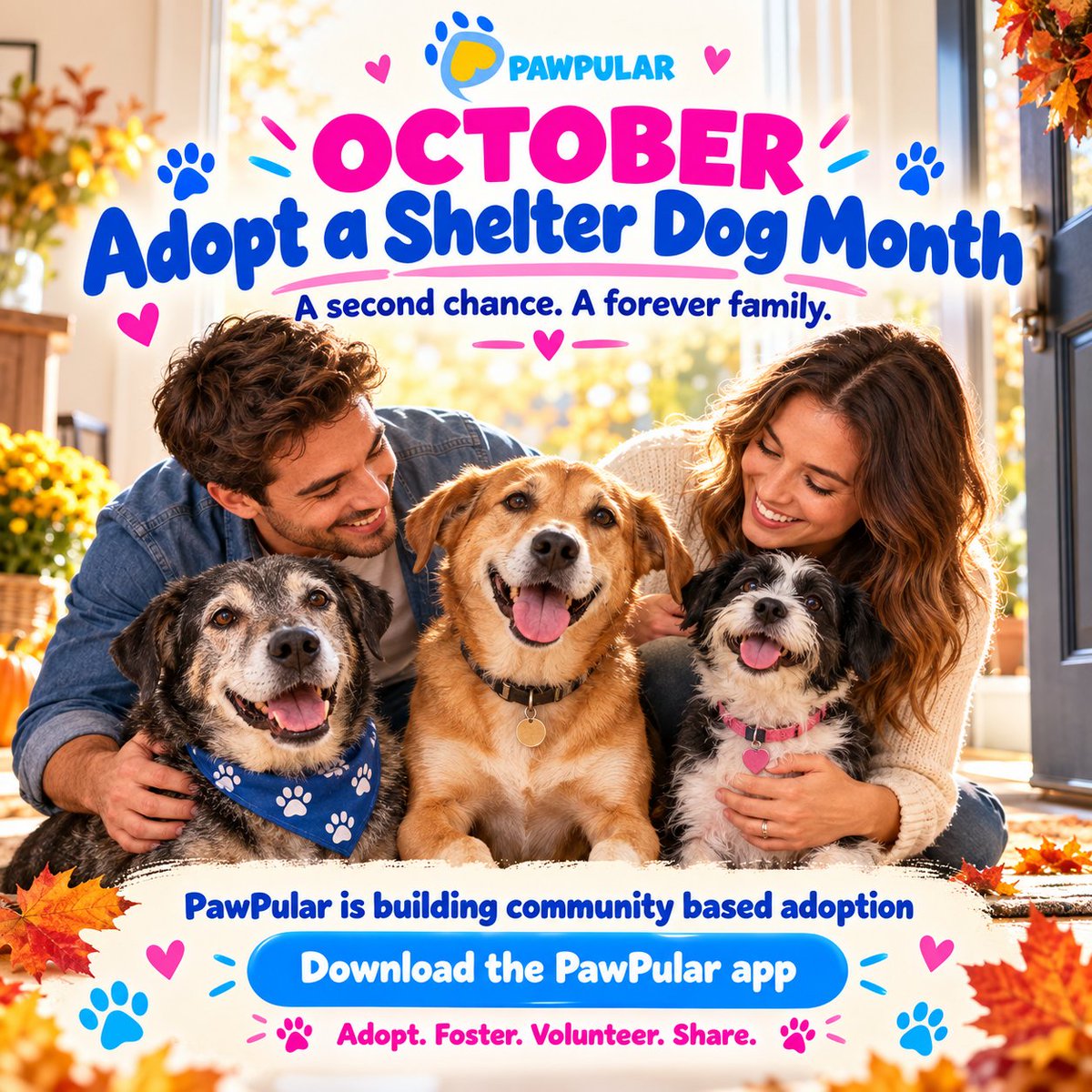 PawpularApp's tweet photo. 🐶❤️ October is Adopt a Shelter Dog Month!

Adoption means giving a dog a second chance, a safe home and a family to call their own. Every adopted dog deserves patience, kindness and a lifetime of love. 🏡🐾

Can’t adopt? Foster, volunteer, donate or share a shelter dog’s story. You could help them find their forever home.

At PawPular, we’re building community based adoption so animal lovers can help cover adoption fees, alongside technology that supports happier, healthier pets. 💙

📲 Download the PawPular app and join a community that cares!

#AdoptAShelterDogMonth #AdoptDontShop #PawPular