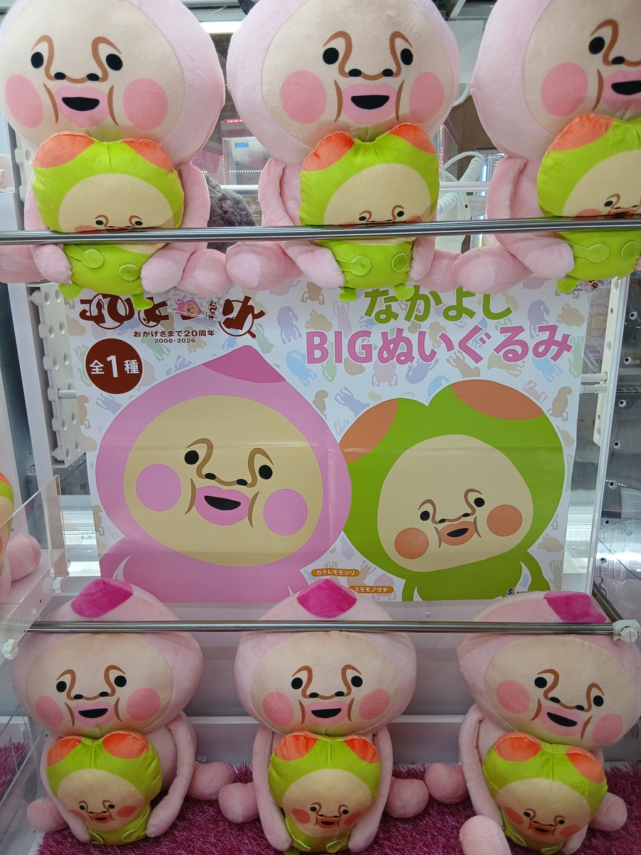 pin_pan_simo's tweet photo. 【景品入荷情報】

・こびとづかんなかよしBIG ぬいぐるみ

・ぷるぷるプリンベアもちょスクイーズ

・ウマ娘プリティーダービーTrio-Try-it Figure -アグネスタキオン-

#こびとづかん 　#スクイーズ
#ウマ娘　#フィギュア　#ピンパン下妻 https://t.co/jWIGvYBvVK