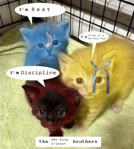 stelytarkus's tweet photo. https://t.co/diOHITmCB0