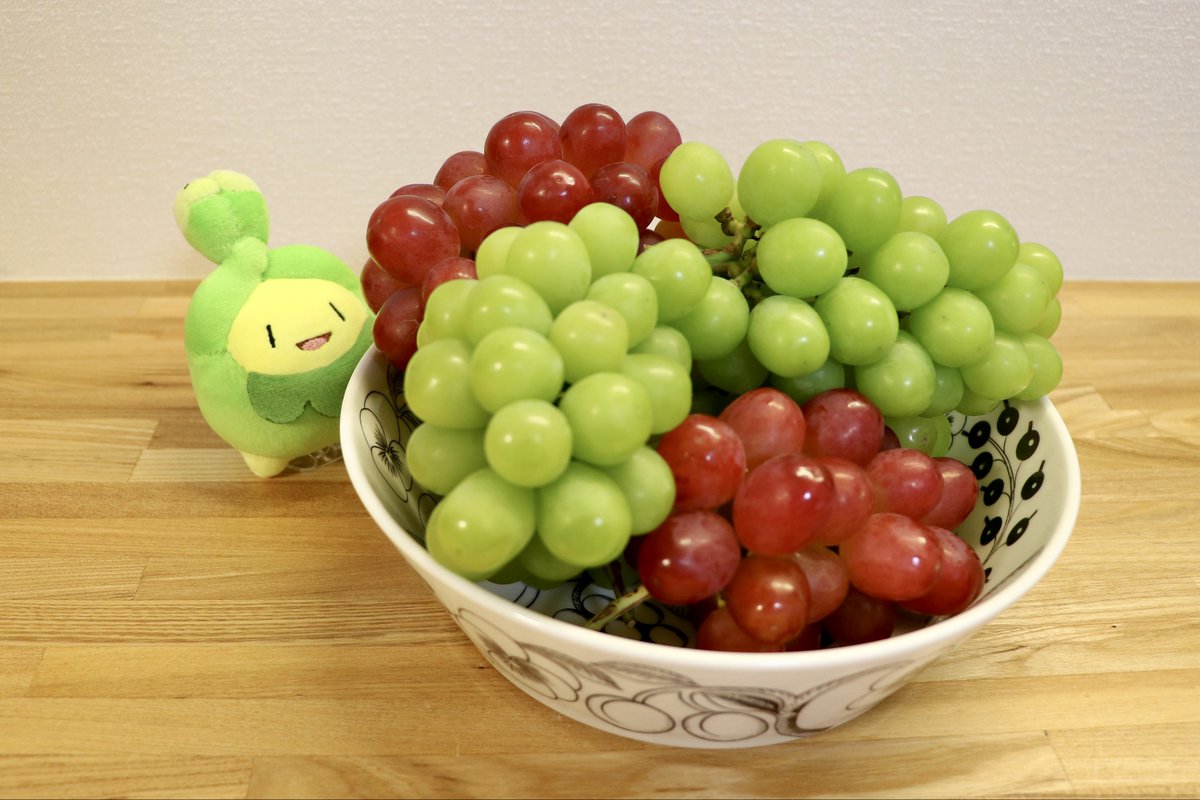 kogetoruyanaika's tweet photo. たくさんいただいたね

🌱 ﾝﾐｯﾝﾐﾐｯ♪ https://t.co/HXwxQPhs93