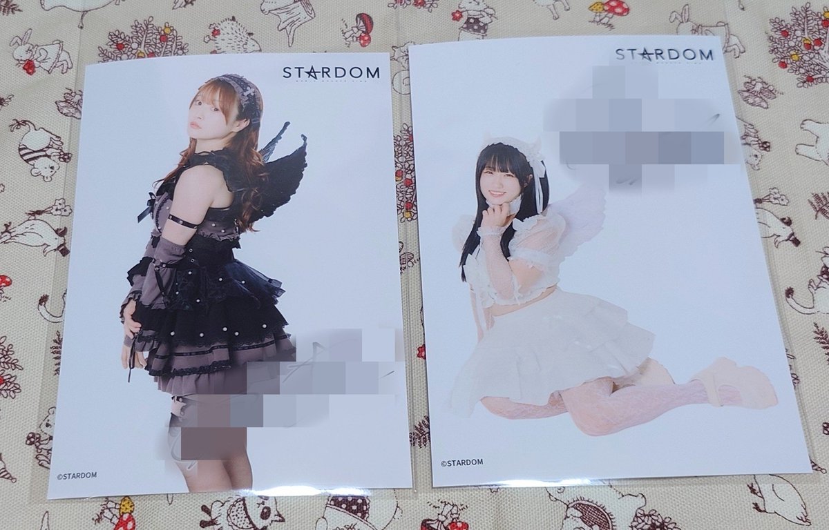 pipipi_A0125's tweet photo. 【交換/譲渡】
STARDOM スターダムハロウィンブロマイド

譲）画像参照

求）さや様 or 定価（+送料）
（浴衣あきらくんでも可）

現地手渡し（10/11後楽園、11/1後楽園、11/3沼津、11/29浜松）または郵送希望。
よろしくお願い致します。 https://t.co/eqIvEhvvyF