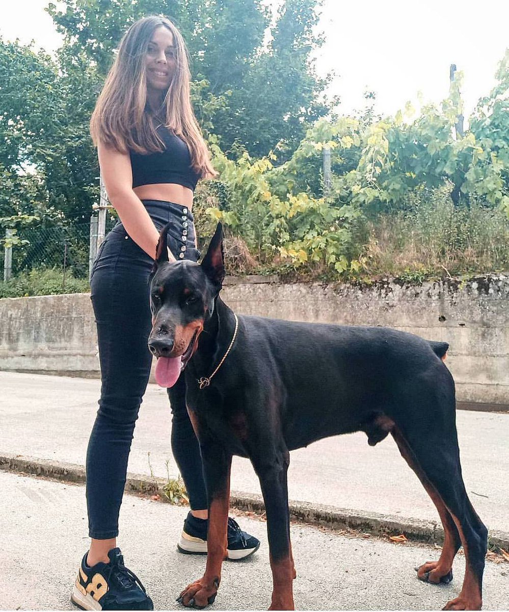 kellysweetrmtb's tweet photo. Close and cute.
Private is me getting fucked by my doggo until the knot swells, locks, and leaves me completely full.
Link in bio
#dogs #K9 #USA #doglovers #AUSummits2026 #Germany https://t.co/9Ow0IsHPi3