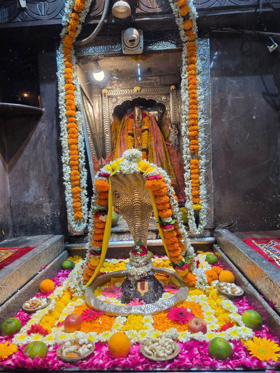 12Jyotirling's tweet photo. श्री ॐकारेश्वर ज्योतिर्लिंग संध्याकालीन आरती श्रृंगार | 06.10.2026

Shri Omkareshwar Jyotirlinga Evening Aarti Shringar | 06.10.2026 https://t.co/mPuPCDvd86