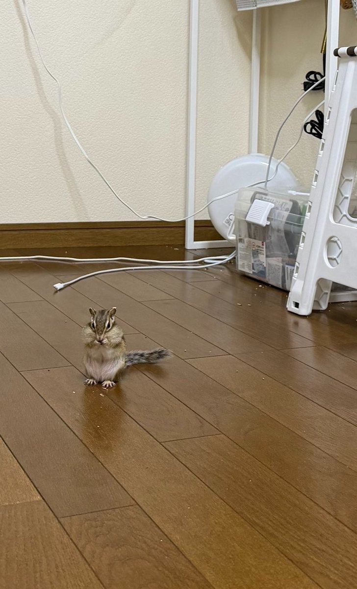 sqrlhongjoong's tweet photo. #홍중 https://t.co/tYvjQ9dA8j
