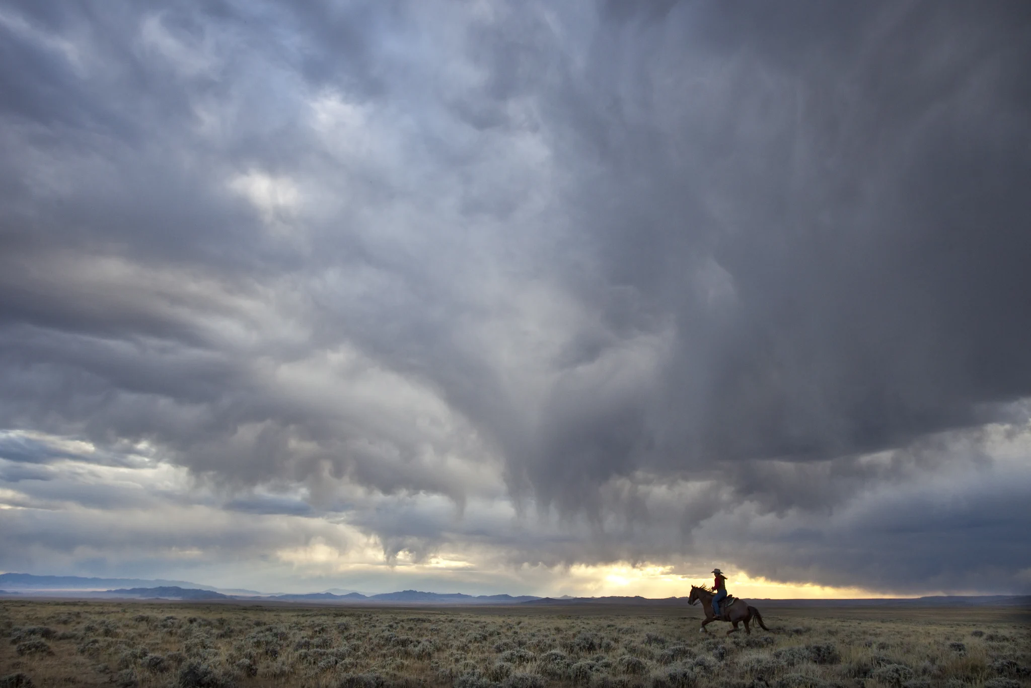 A lone rider on horseback travels across an open plain with storm clouds in the sky above. 