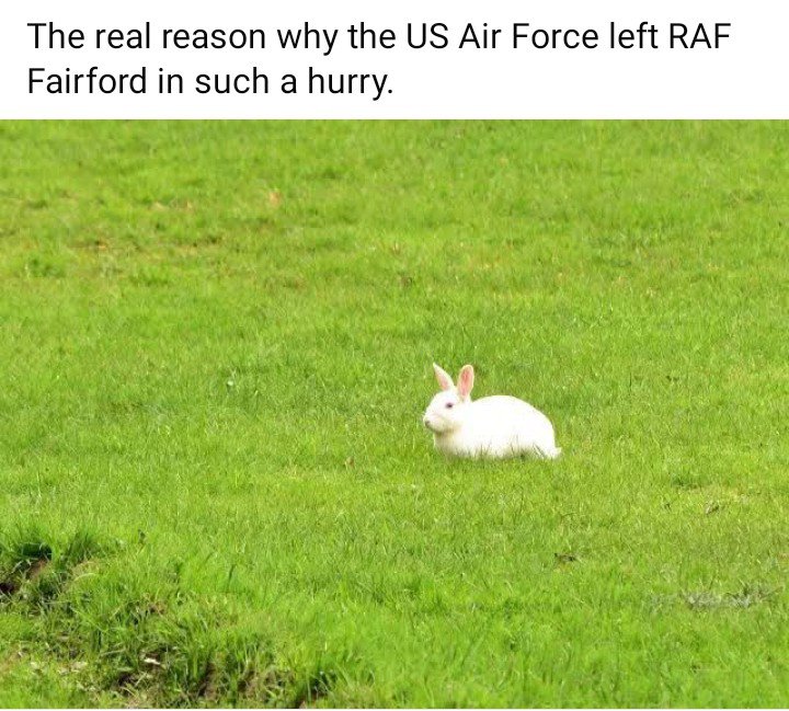 Aslans_Return's tweet photo. Ahhhh, that explains it.
IYKYK https://t.co/YCdi4Ue30d