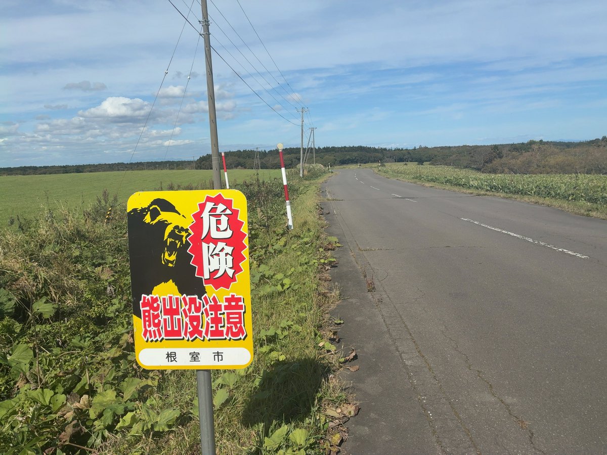 chet_ryuusa2's tweet photo. 熊、その辺の道にも注意喚起の看板立ってる。 https://t.co/8GdI2Xuok1