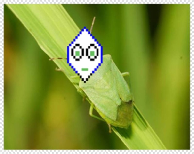 cheddarblasttt's tweet photo. #pippinstwt
more Photographies of The Green One scientific name; #battat  It stinks bad do Not approach. Plesse do not dont do it https://t.co/Ok4BfWlfqZ